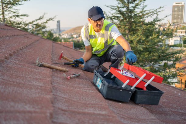 Siding Removal and Disposal in Flagler Estates, FL